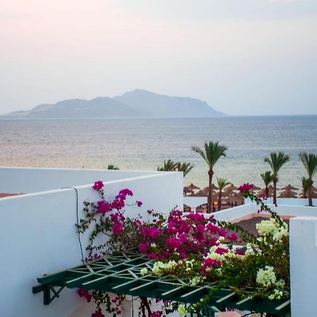 Coral Beach Resort Montazah (Adults Only) Шарм-эль-Шейх Экстерьер фото